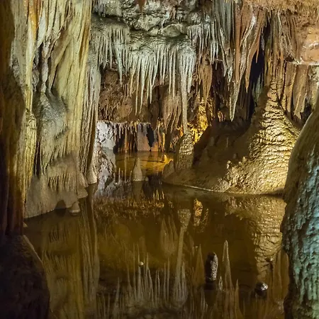 In - Istrien 36931 波雷奇