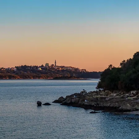 公寓 In - Istrien 36931 波雷奇